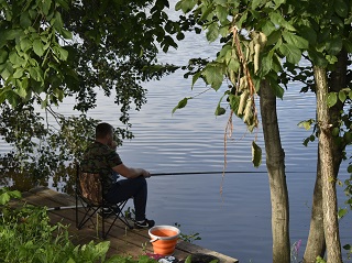 Турнир по летней рыбалке
